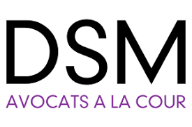 DSM-logo