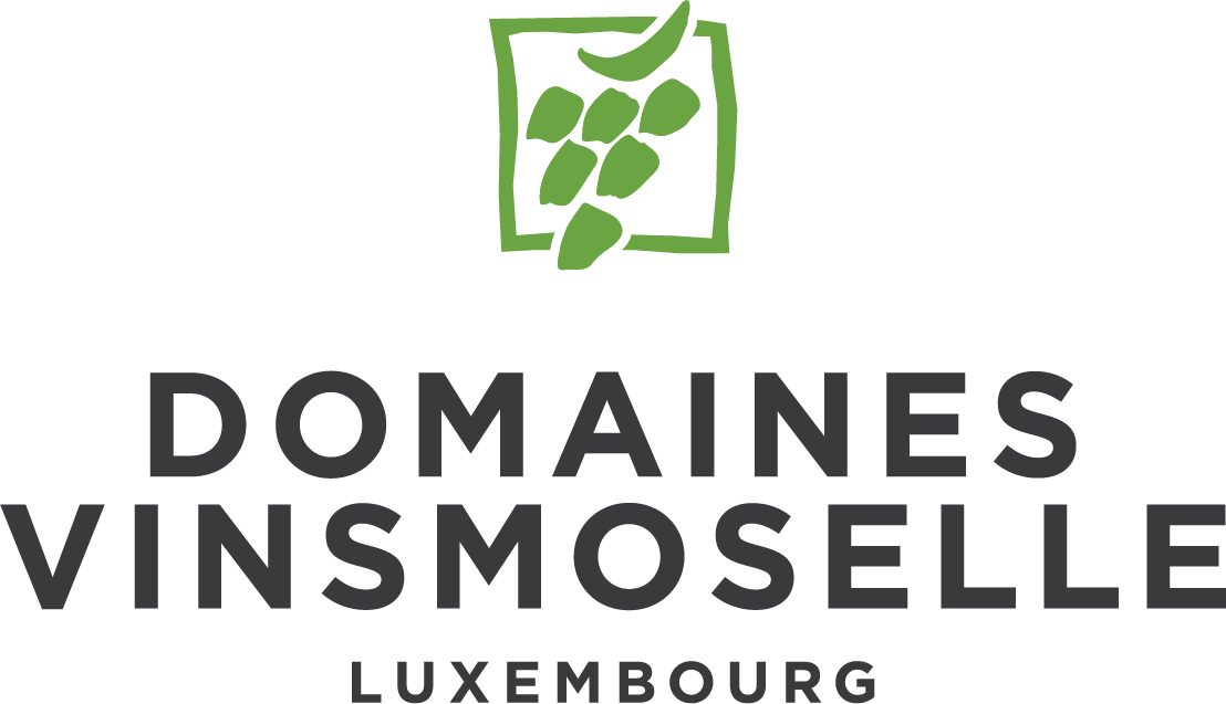 Dom VinsMoselleVM-LogoColour (002)